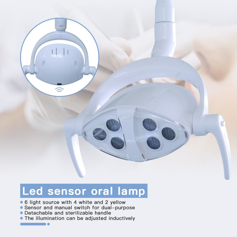 A 40HQ TK-801 Dental Chair to West Asia 4