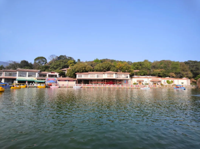 3.8 Goddess's Day | March is in full bloom 6