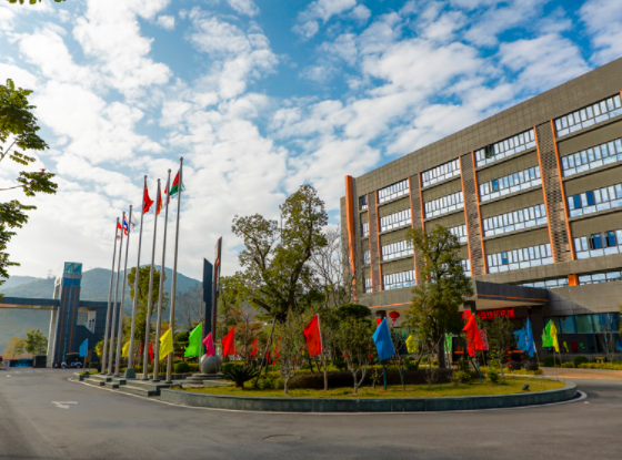 The former rabbit looks beautiful | Tietuo Machinery wishes customers and friends a happy new year! 1