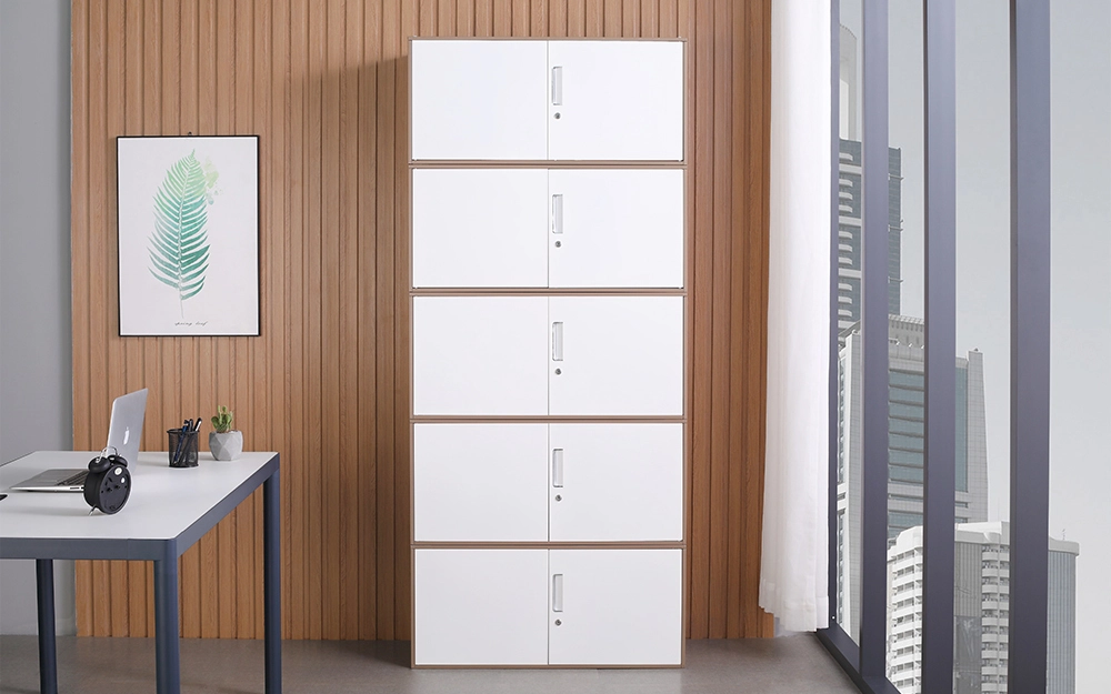 Single-Section Cabinet and Five-Section Cabinet for Storage and Organization 1