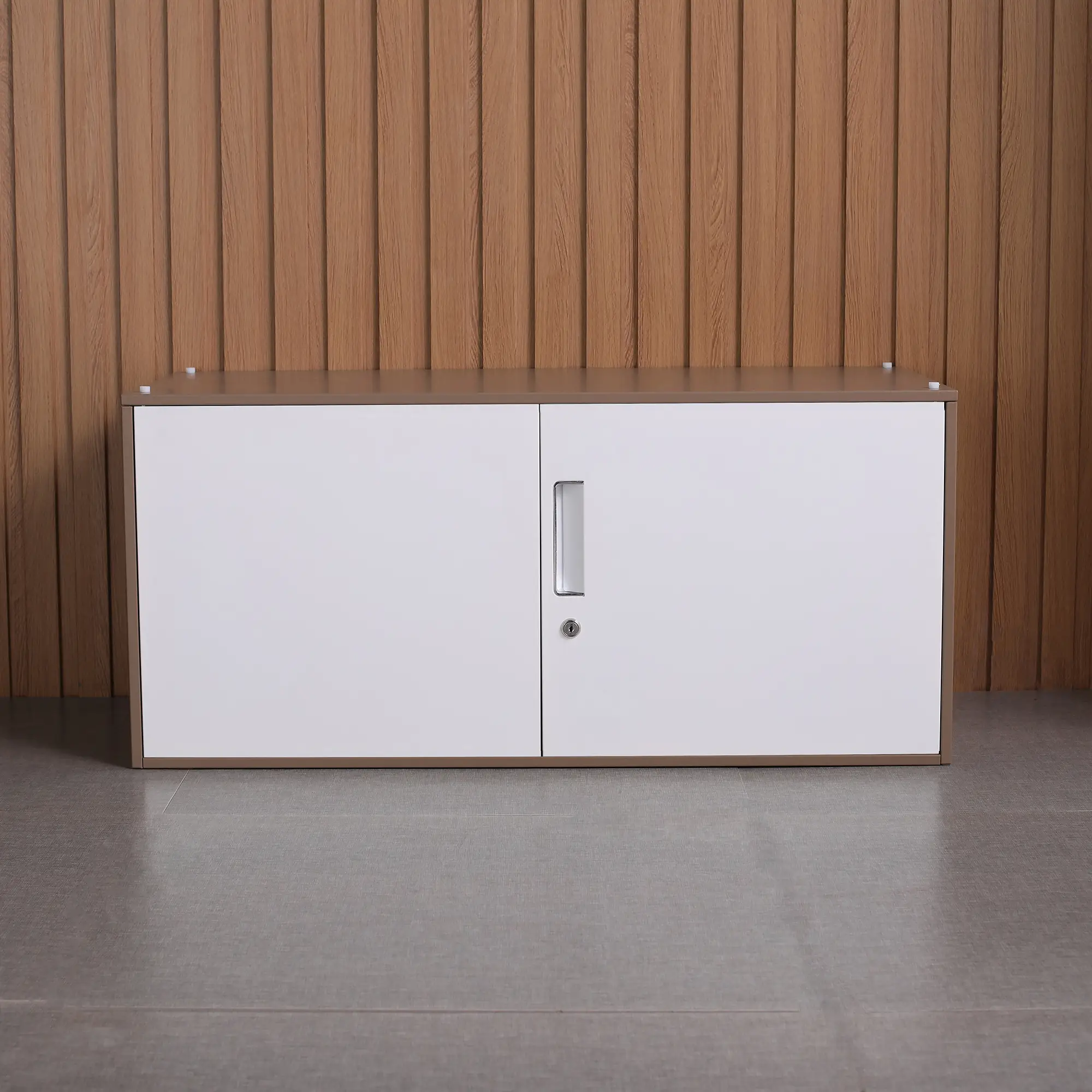 Single-Section Cabinet and Five-Section Cabinet for Storage and Organization 1