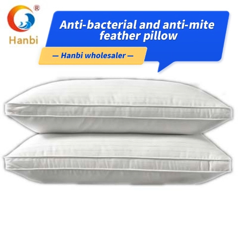 Hanbi wholesaler custom five-star hotel luxury down pillow 1