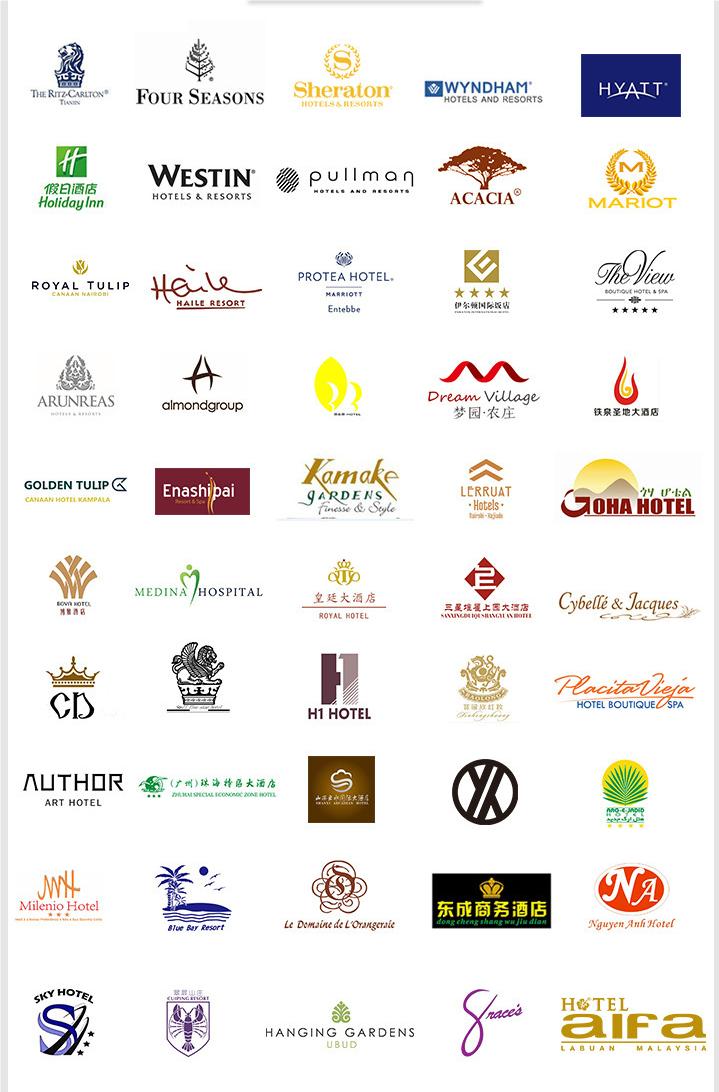 Hotel Bedding Set With 100% Cotton Quilted Quilt Cover For 5 Star Hotel 9