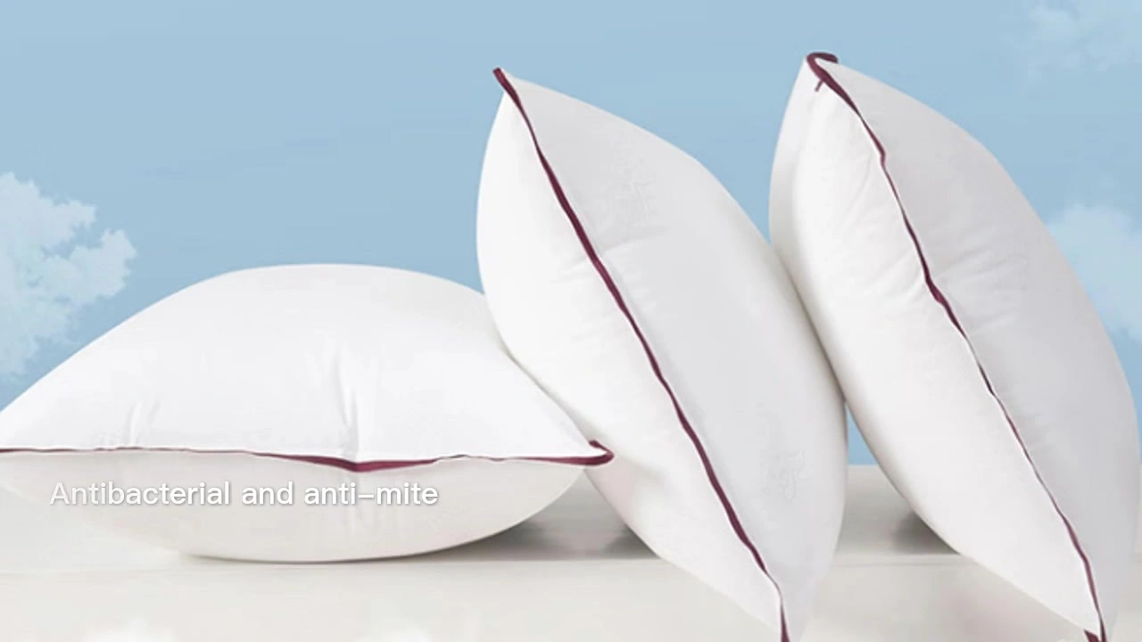Anti-bacterial and anti-mite five-star hotel pillow 1