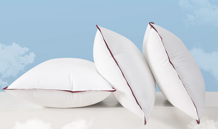 Anti-bacterial and anti-mite five-star hotel pillow 10