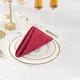 Comfortable Cloth Napkins free design | Hanbi Textile 2
