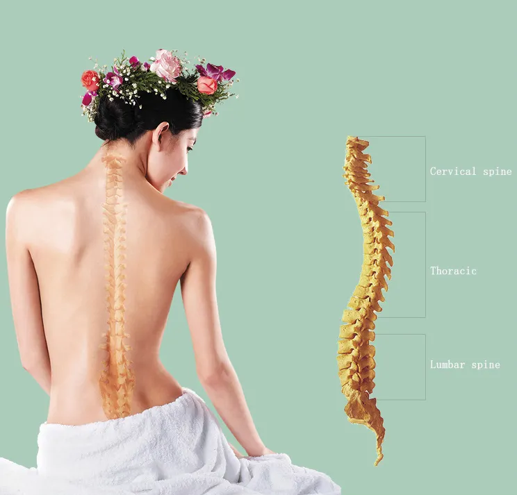 Hot Sale hotel collection linen company | Hanbi Textile 3