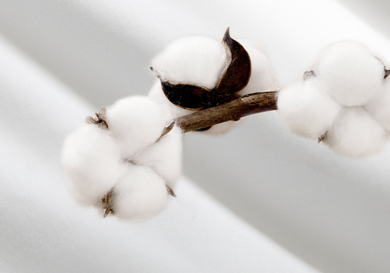 Hilton Spring and Autumn antibacterial and anti-mite fiber quilt 7