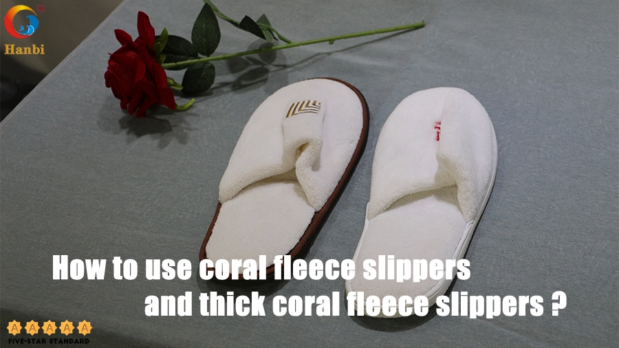 Autumn and Winter Hotel Coral Fleece Slippers for Manufacturers Customized Wholesale _Hanbi 1