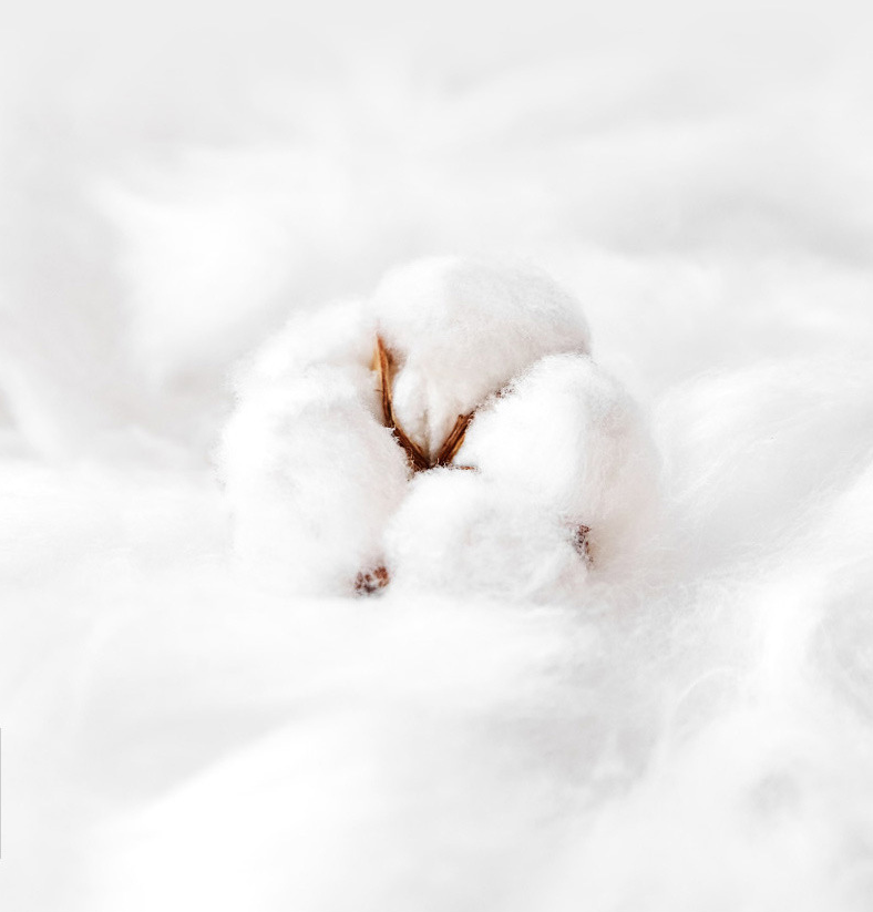 Hanbi Textile Hotel linen suppliers wholesale hotel quilts king size thicken 13