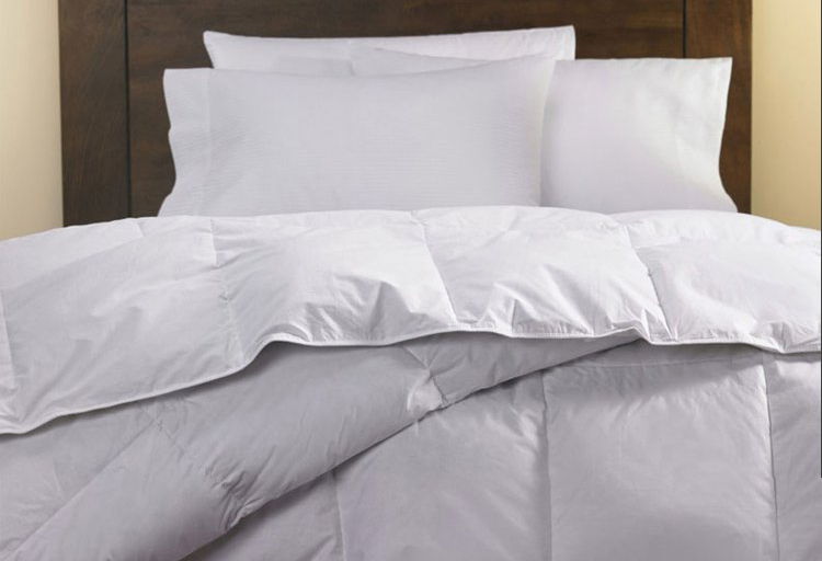 Hotel Quilt Core With Pure Cotton For Four Seasons Can Be Customized _Hanbi 10