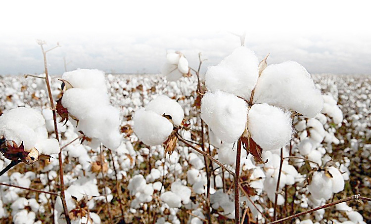 Hotel Towel Set With16S Spiral Satin File For High-End Hotels _Hanbi 9