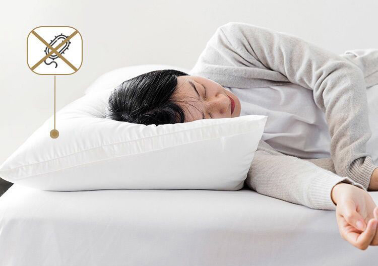 Hotel Pillow Of Pure Cotton Three-Dimensional High Elastic Memory 11