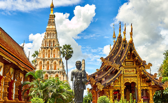 Hotel Pillow With Pure Natural Rubber Customized Wholesale 8