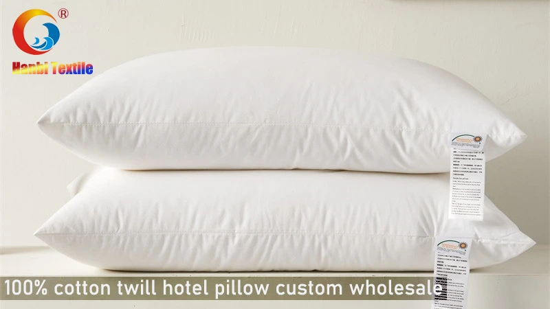 Luxury Cotton Star Hotel Pillow Source Factory Custom Wholesale -Hanbi Textile 1