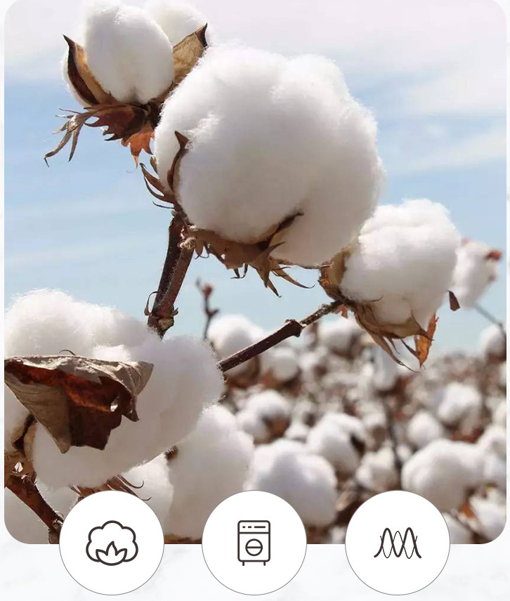 Luxury Cotton Star Hotel Pillow Source Factory Custom Wholesale -Hanbi Textile 7