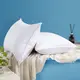 Hanbi Textile | Customized best hotel quality pillows free design 2