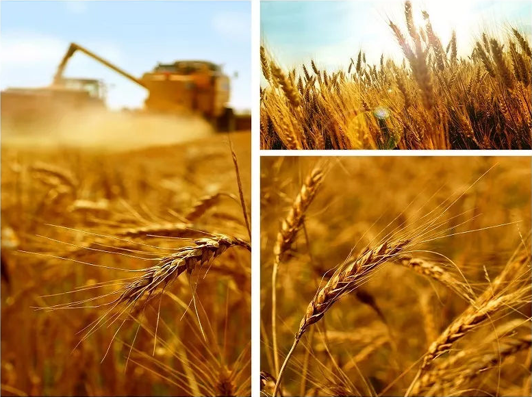 Do You Know The Hungry Ghost Festival In China? _Hanbi Textile 5