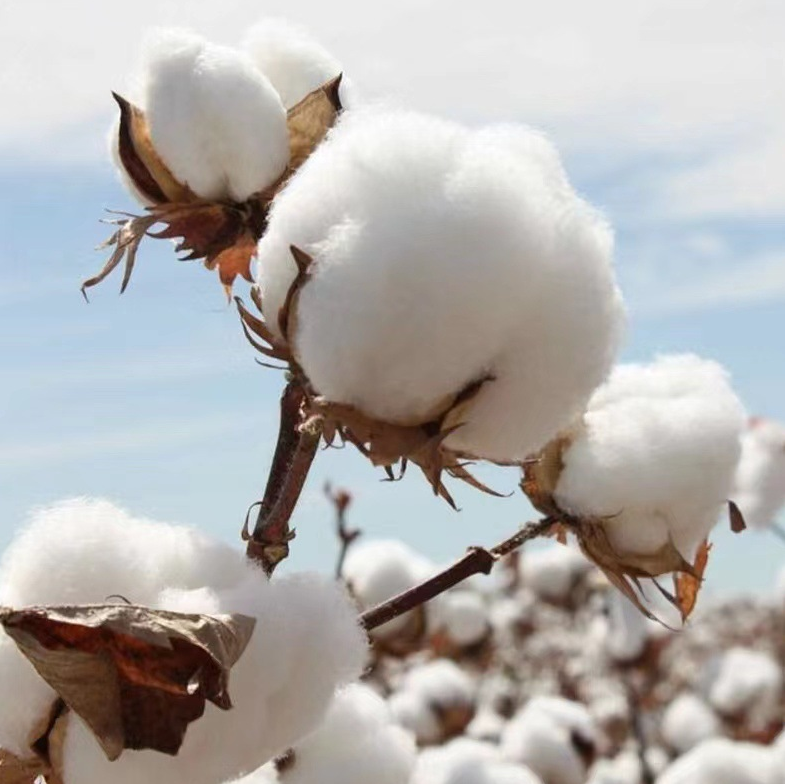 Top hotel queen bedding sets customized | Hanbi Textile 2