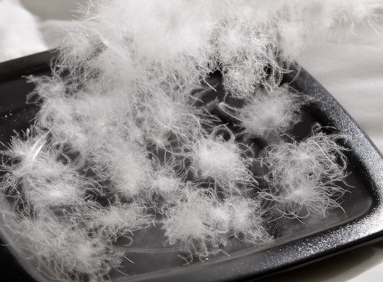 Hanbi Textile | Comfortable hotel quality quilt customized 3