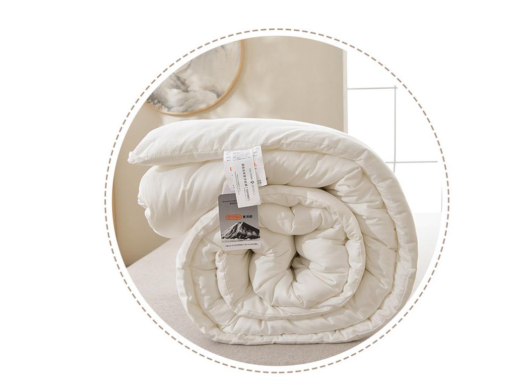 Top grade soybean hotel and school soft comforter cotton jacquard all seasons quilt 4