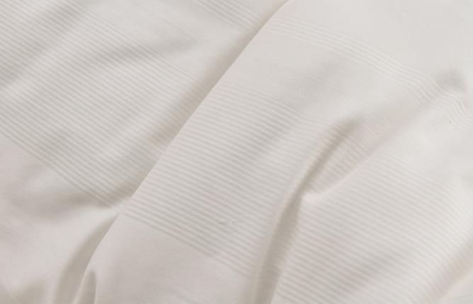 Top grade soybean hotel and school soft comforter cotton jacquard all seasons quilt 2