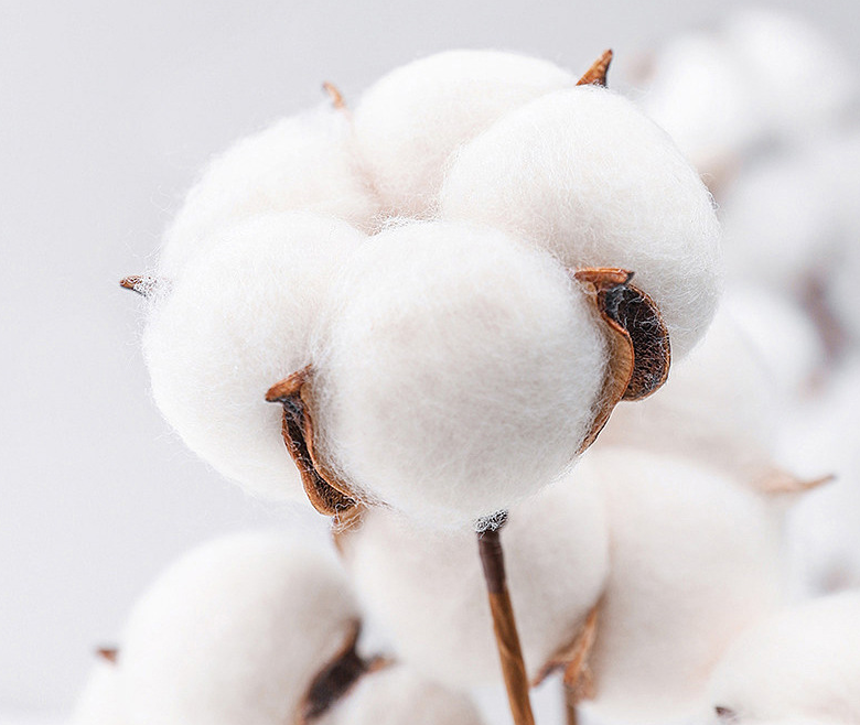 Five-star hotel cotton four-piece set 1