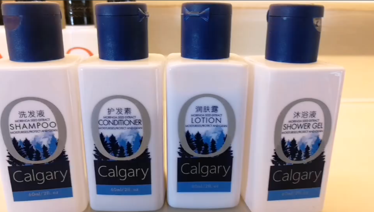 Hotel shampoo conditioner shower gel lotion wholesale hotel toilerties sets good price 8