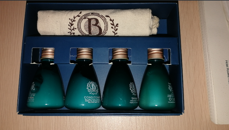 Hotel shampoo conditioner shower gel lotion wholesale hotel toilerties sets good price 10