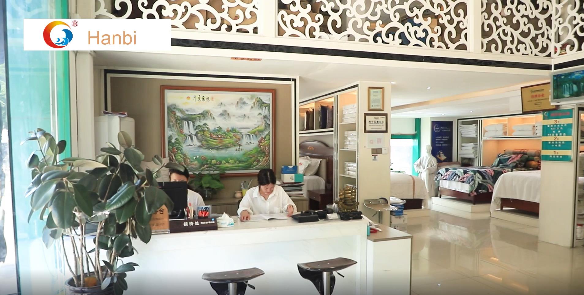 Hanbi company professional team and designers 1