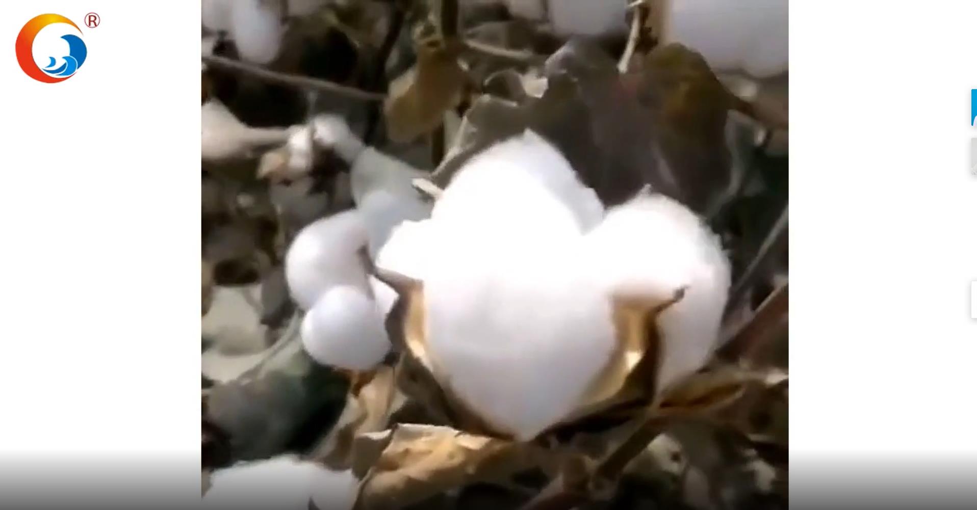 Hanbi factory-hotel bedsheet duvet pillow production packing and delivery 1