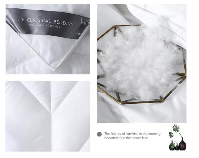Hot sale hotel autumn winter warmth white goose down duvet king size ultra soft 4