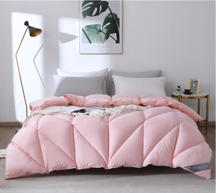 Hot sale hotel autumn winter warmth white goose down duvet king size ultra soft 1