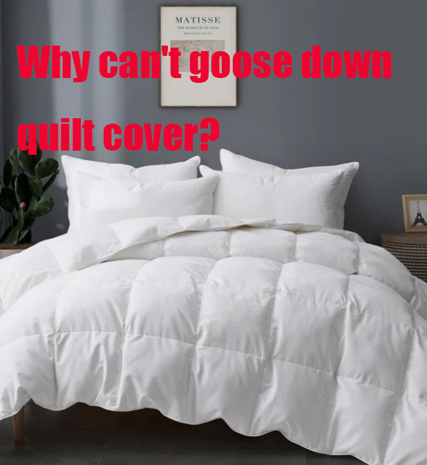 Why can't goose down quilt cover? | Hanbi Textile 2