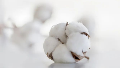 Teach you how to choose hotel room linen 1