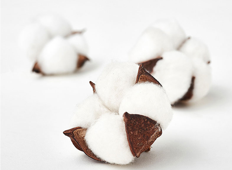 About Hanbi Wholesale 100% cotton. What's the difference? 1