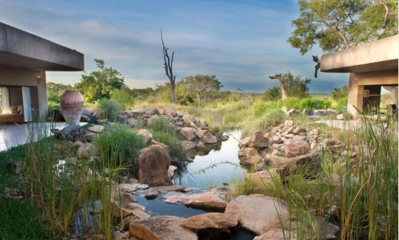 Why are the top wild luxury resort hotels basically desolate? Because project site selection is the key to success 20