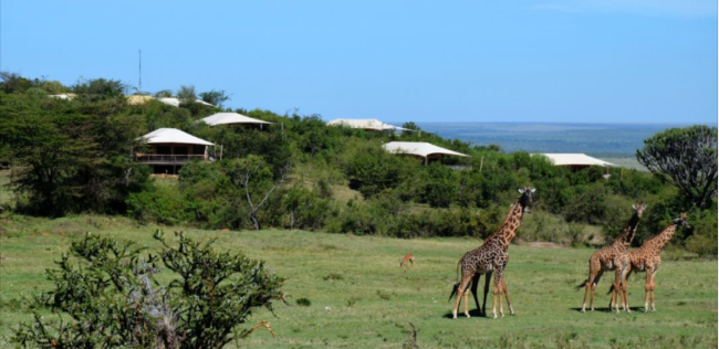 Why are the top wild luxury resort hotels basically desolate? Because project site selection is the key to success 17