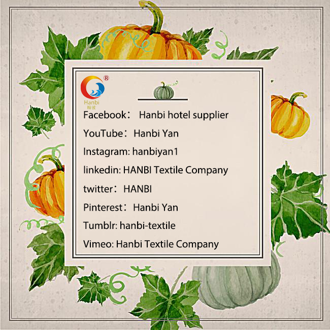 Hanbi textile Co. different social Account 1