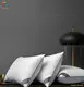 Custom best 5 star hotel pillows directly sale Manufacturer | Hanbi Textile 1