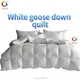 Hanbi Textile | Fashion best duvet hotel quality factory direct supply 1