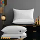 Hanbi Textile | Newest hotel grade pillows free design 1