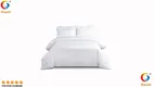 Hanbi Textile | Comfortable hotel bedding sets for sale factory 1