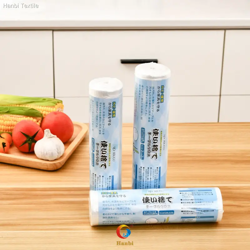 Hanbi Textile | Oem & Odm custom printed disposable tablecloths factory 1