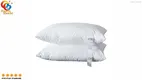 hotel collection pillows at Wholesale Prices | Hanbi Textile 1
