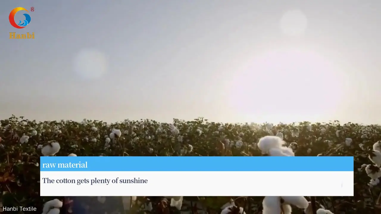 Comfortable disposable biodegradable towels with custom services | Hanbi Textile 1