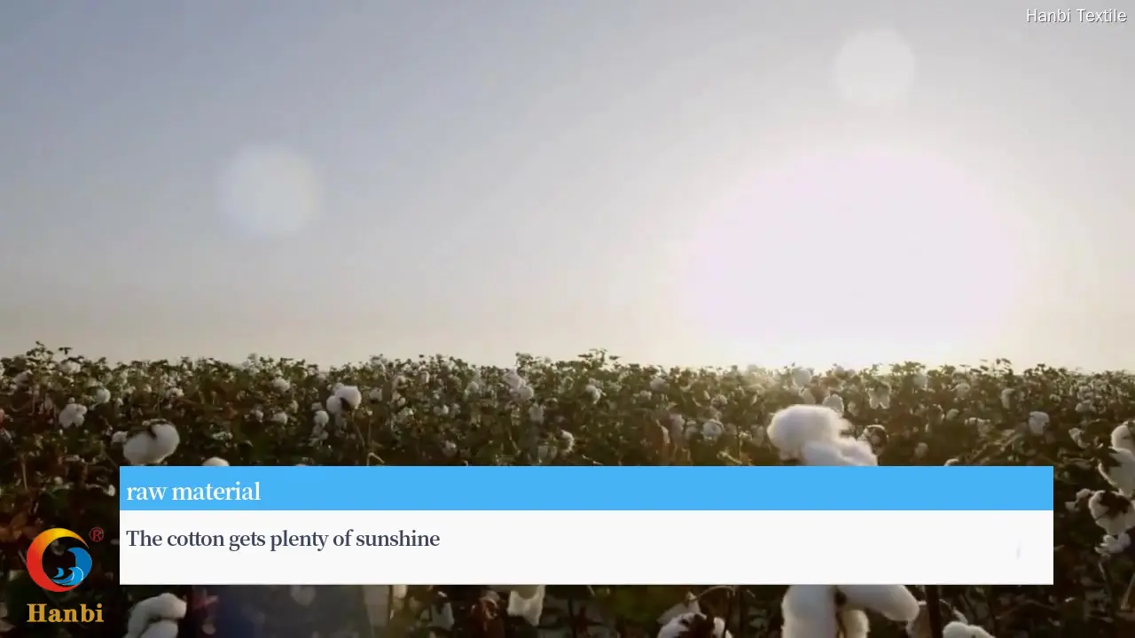 disposable towels for spa at Wholesale Prices | Hanbi Textile 1