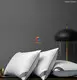 Hanbi Textile | Latest best hotel pillows factory direct supply 1