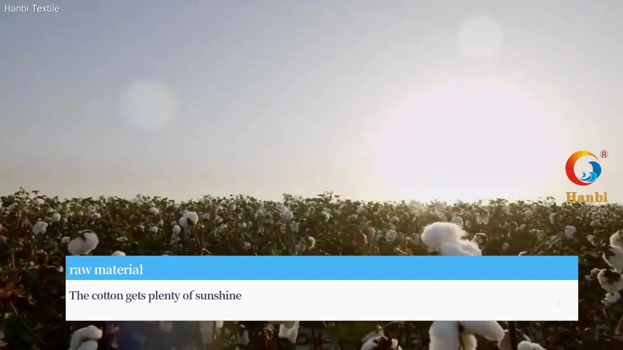 Custom easy dry disposable towels factory Manufacturer | Hanbi Textile 1