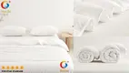 Hanbi Textile | Hot Sale hotel pure luxury duvet free design 1